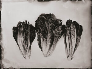 Hell's Kitchen 01 – fotografia artystyczna Marcina Seweryna Andrzejewskiego