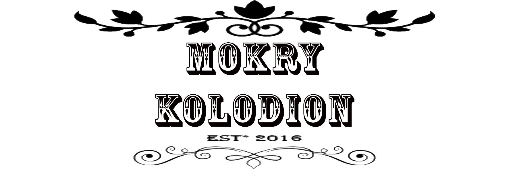 Mokry Kolodion – Marcin Seweryn Andrzejewski