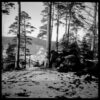 Niedźwiecki - Polska 072