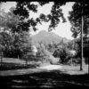 Niedźwiecki - Polska 096