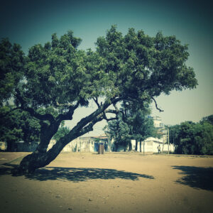 Instagra