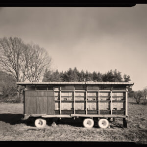Roadside Scenes 041