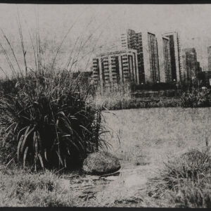 Shangri La 006