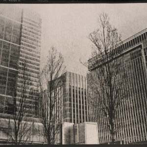 Shangri La 018